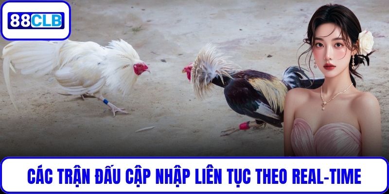 Đá Gà Nòi – Tinh Hoa Võ Thuật Gà Chọi Việt Tại 88CLB Các trận đấu cập nhập liên tục theo real-time