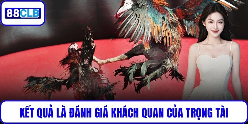 Đá Gà Cựa Dao – Kịch Tính Đến Nghẹt Thở Cùng 88CLB Kết quả là đánh giá khách quan của trọng tài